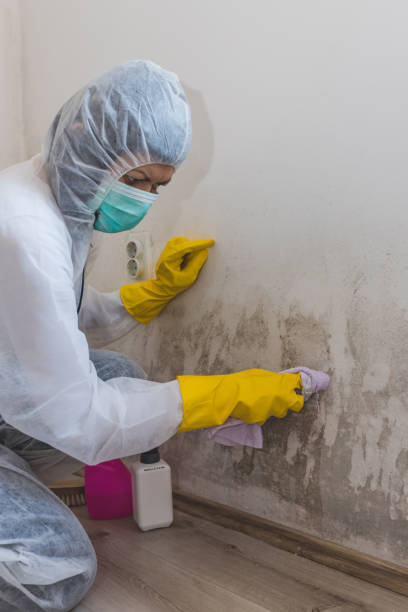 Best Emergency Mold Remediation  in Malaga, NJ